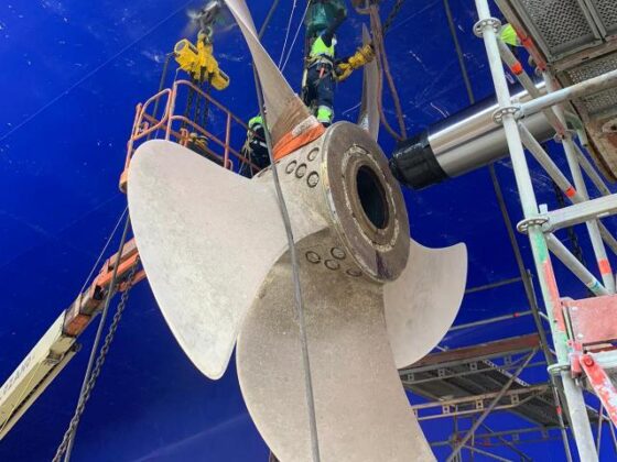 Trabajadores en la Elevación de la Hélice del Harmony of the Seas. Reparaciones de barcos